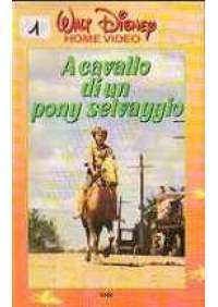 A Cavallo di un Pony selvaggio