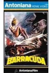 Barracuda