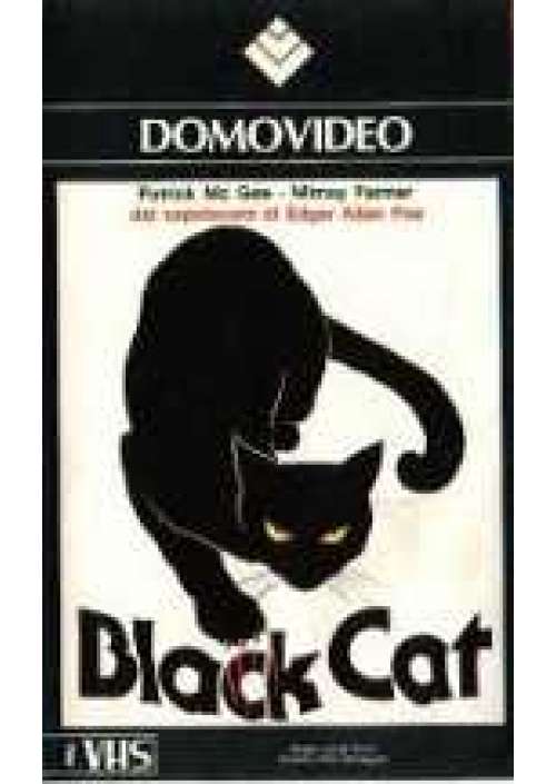 Black cat