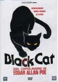 Black cat 