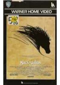 Black stallion