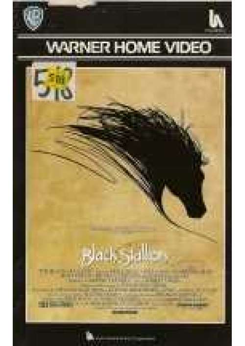 Black stallion