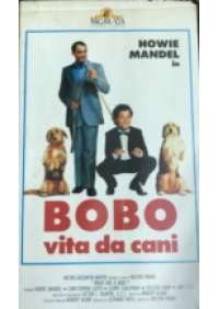 Bobo vita da cani