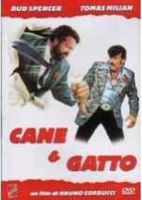 Cane e gatto 