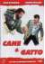 Cane e gatto 