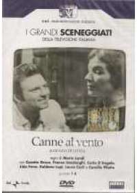 Canne al vento (2 dvd)