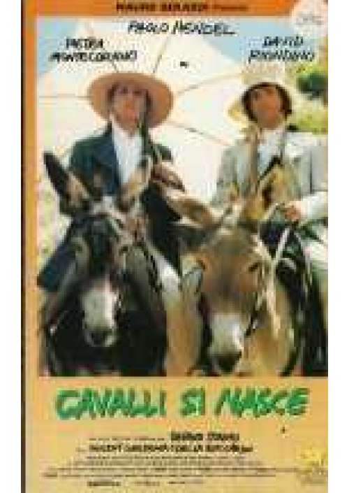 Cavalli si nasce