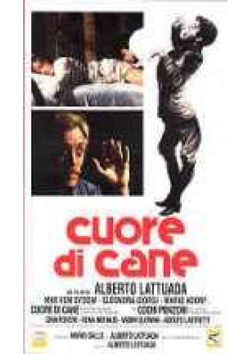 Cuore di Cane