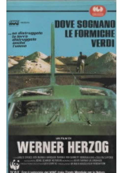 Dove Sognano Le Formiche Verdi