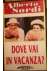 Dove vai in vacanza?