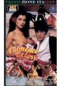 Flamenco Extasy
