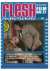 Color Climax Flesh Film 17
