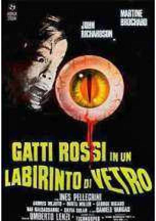 Gatti rossi in un labirinto di vetro