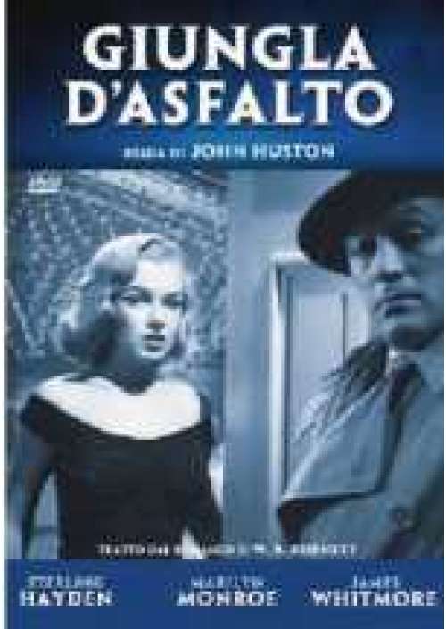 Giungla d'asfalto  