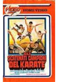 Gli Scatenati campioni del Karate'