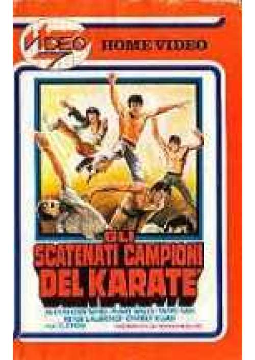 Gli Scatenati campioni del Karate'