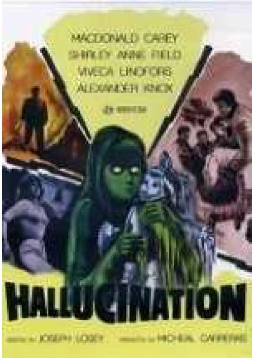 Hallucination 