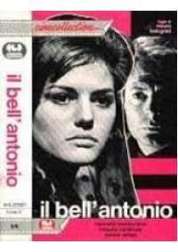 Il Bell'Antonio