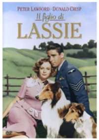 Il Figlio Di Lassie