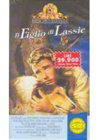 Il Figlio di Lassie