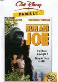 Il Grande Joe