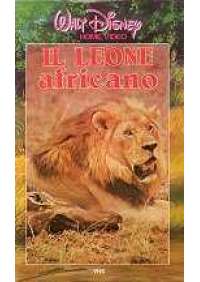 Il Leone africano