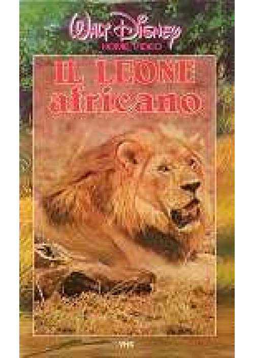 Il Leone africano