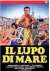 Il Lupo di mare