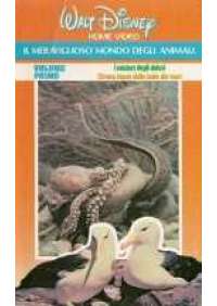 Il Meraviglioso mondo degli animali - Volume 1