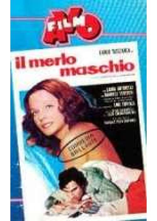 Il Merlo maschio