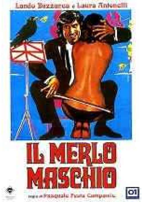 Il Merlo maschio 