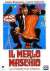 Il Merlo maschio 