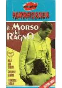 Il Morso del ragno