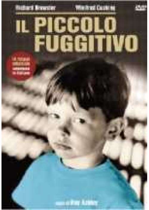 Il Piccolo fuggitivo