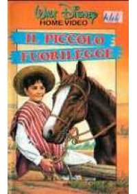 Il Piccolo fuorilegge