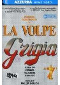 La Volpe Grigia