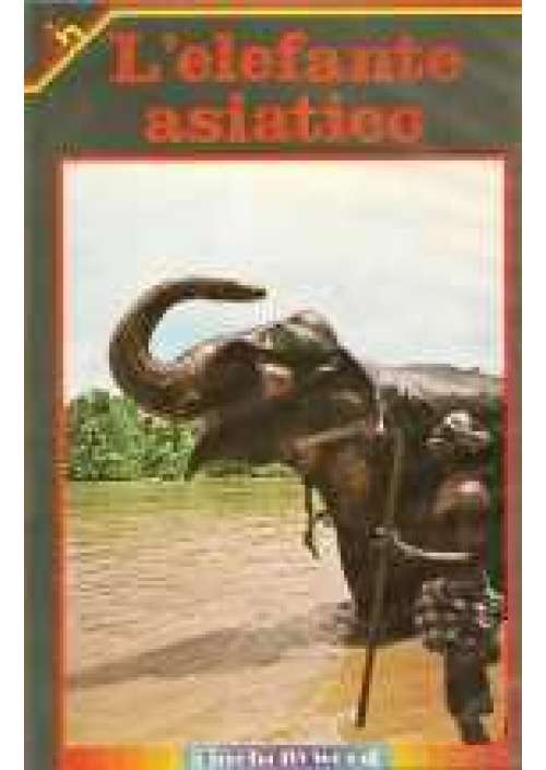 L'Elefante asiatico