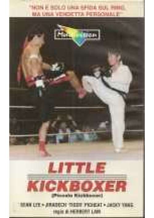 Little Kickboxer