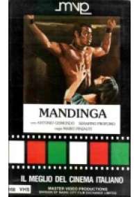 Mandinga