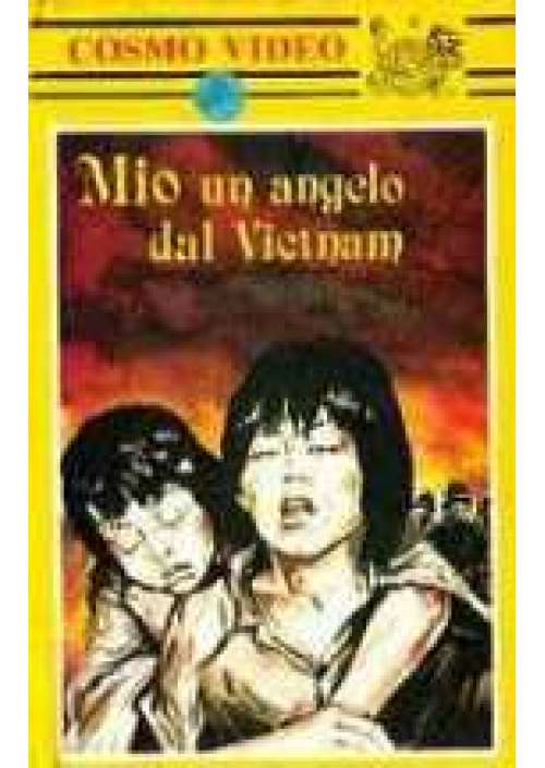 Mio un angelo dal Vietnam