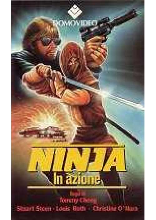 Ninja in azione