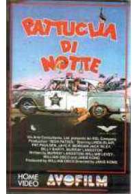 Pattuglia di notte