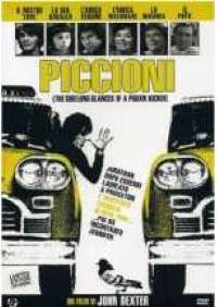 Piccioni