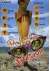 Professione Vacanze (6 dvd)
