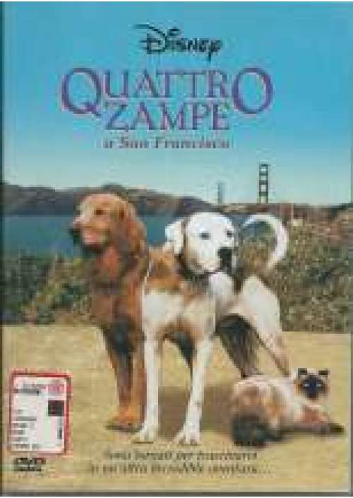 Quattro zampe a San Francisco