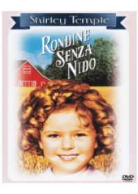 Rondine senza nido