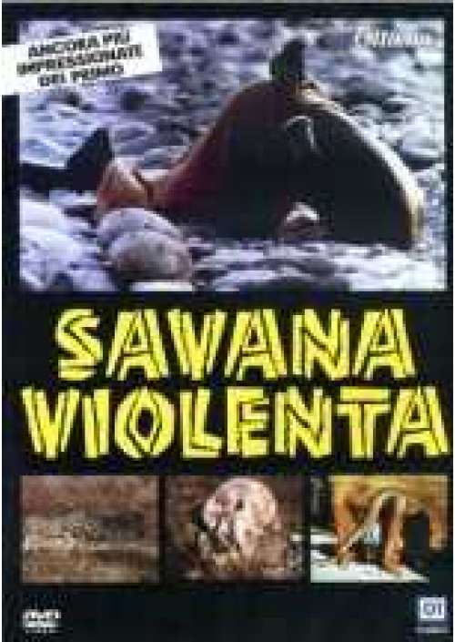 Savana violenta 