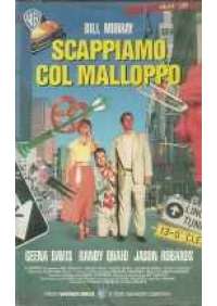 Scappiamo col malloppo