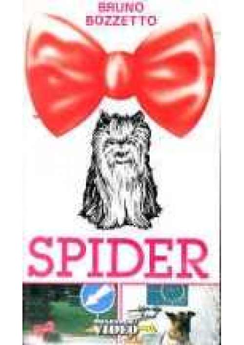 Spider