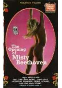 The Opening of misty Beethoven